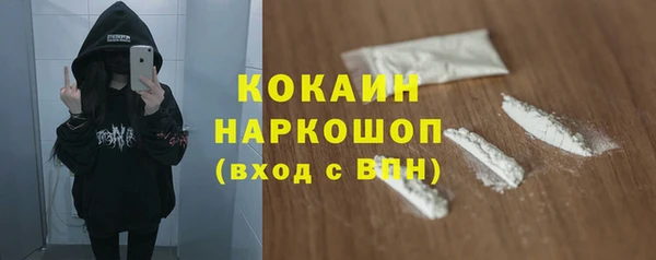 спайс Богданович